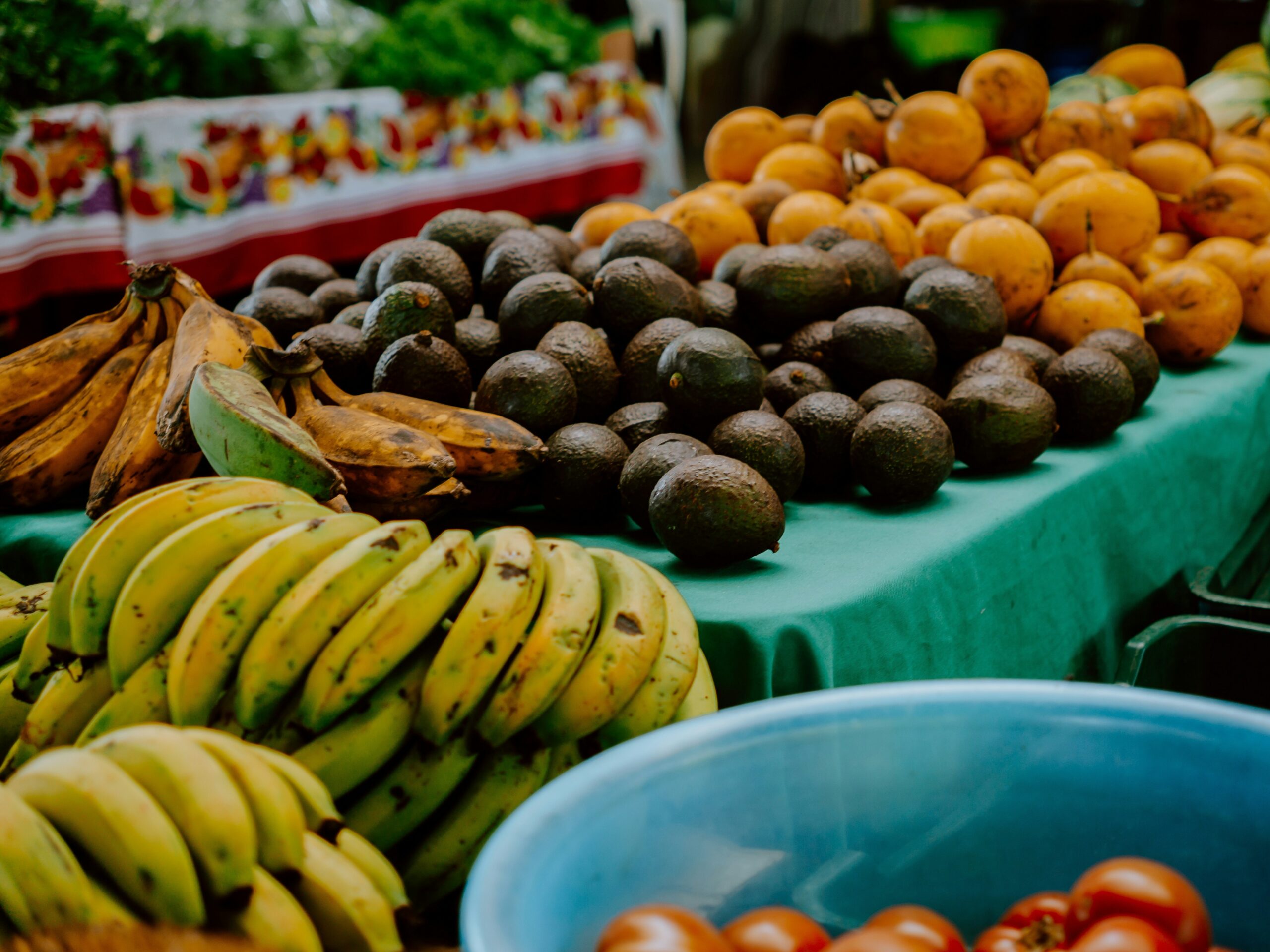filiz-elaerts-KMv-MR0VJvw-unsplash
